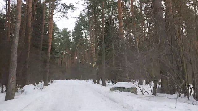 Что он несёт и куда он постоянно едет? Для чего все это? Столько вопросов и так мало ответов смотреть онлайн