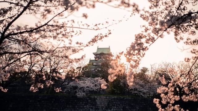 Роберт Адамс. Как освободить себя от привязанностей смотреть онлайн