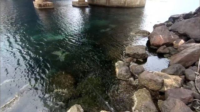 РАНКОВА РИБАЛКА НА МОРІ. РИБОЛОВЛЯ В ПОРТУ. РИБАЛКА В ІСПАНІЇ. JOREL НА СПІННІНГ смотреть онлайн
