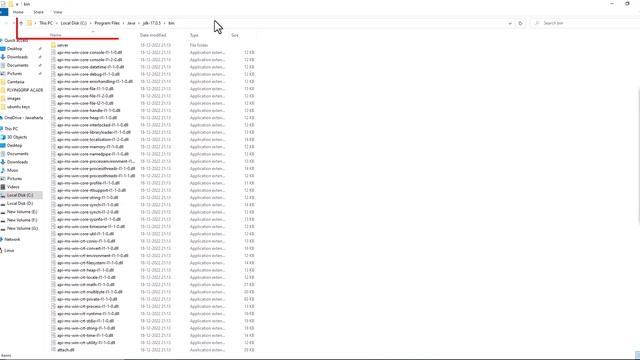 INSTALLING JAVA & SETTING PATH смотреть онлайн