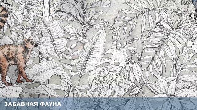 3D Фотообои «Забавная фауна» смотреть онлайн