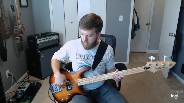 Peavey T-45 Bass sound Samples смотреть онлайн