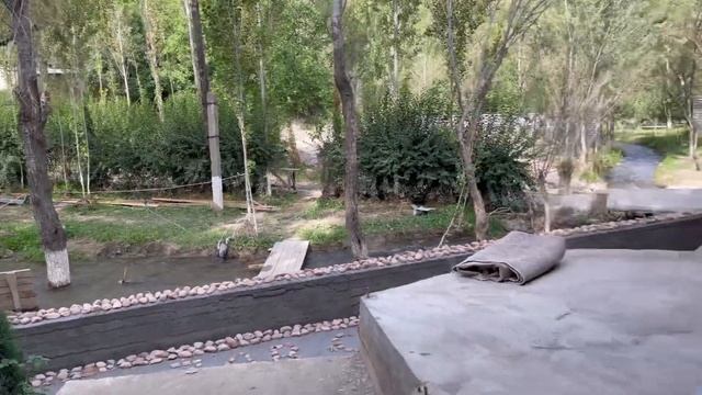 ЗОМИН САНАТОРИЯСИ ДАМ ОЛИШ НЕЧА ПУЛ? ZOMIN SANATORIYaSI