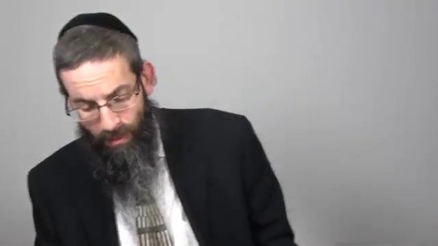 Talmud Bavli Daily Page Menachos 91 From LiveDaf on KosherTube смотреть онлайн