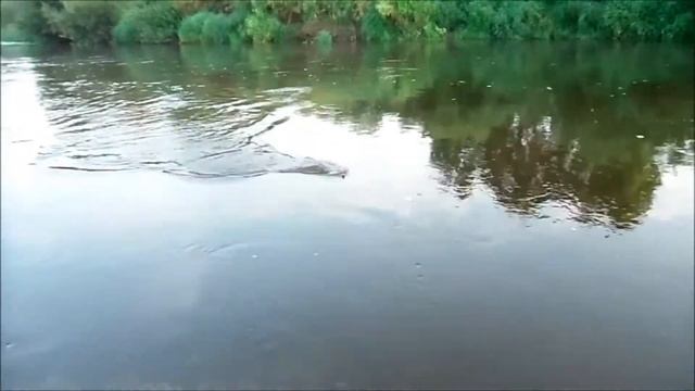 Поймать рыбу нахлыстом смотреть онлайн