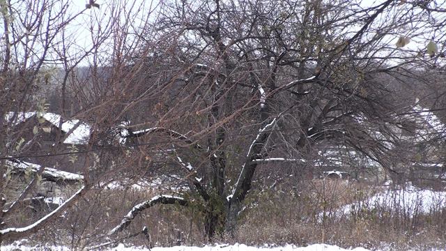 Репортаж для внучки Лерочки.22.11.18. смотреть онлайн