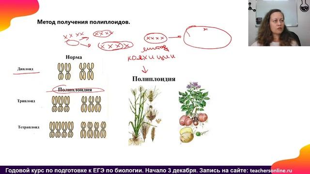 Селекция животных и растений!