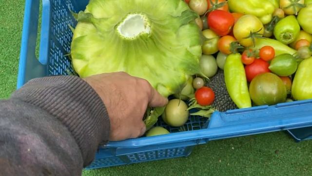 ДАЧКА НА ПРОКАЧКУ. ГОТОВИМСЯ К ЗИМНЕМУ СЕЗОНУ / УТЕПЛЯЮ ПОЛ смотреть онлайн