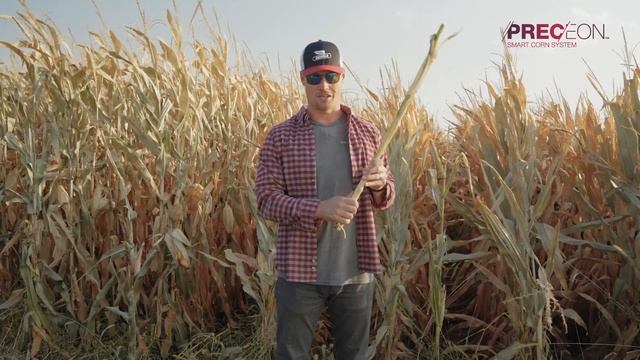 Increase Standability With the Tighter Nodes of the Preceon™ Smart Corn System смотреть онлайн