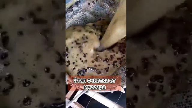 Как добывают воск?! Ссылка на инст в комментариях #какдобываютнатуральныйвоск #восковыесвечи смотреть онлайн