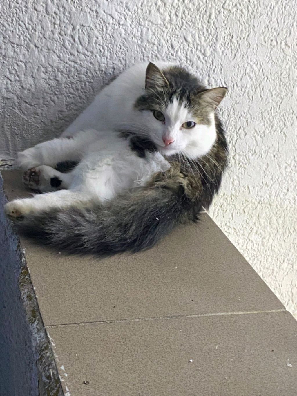 влог с Кристиной смотреть онлайн