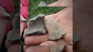 Жители Кисловодска против строительства "Солнечной Долины"!!!