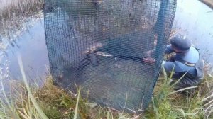 куб-садок из металической сетки для передержки живой рыбы