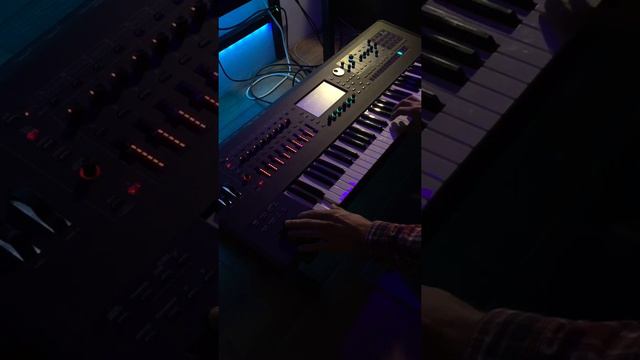 Roland Fantom - Terminator смотреть онлайн