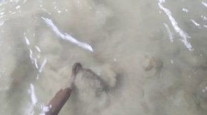 добыча золотого шлиха легко