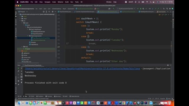 Java Expression, Code Block and Logical Branching: Day 3 - Nepali Coding Bootcamp смотреть онлайн