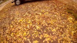 Нива 2131 - вылетает 5 скорость. Чтобы сделать пятую передачу  -  коробку снимать не надо.