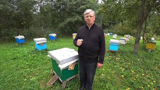 Круглый год сильные семьи. Серия. Часть 1 смотреть онлайн