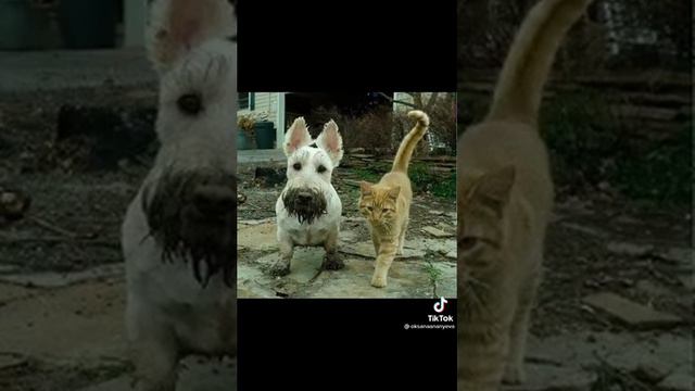 Просто будь на Земле Человеком. смотреть онлайн