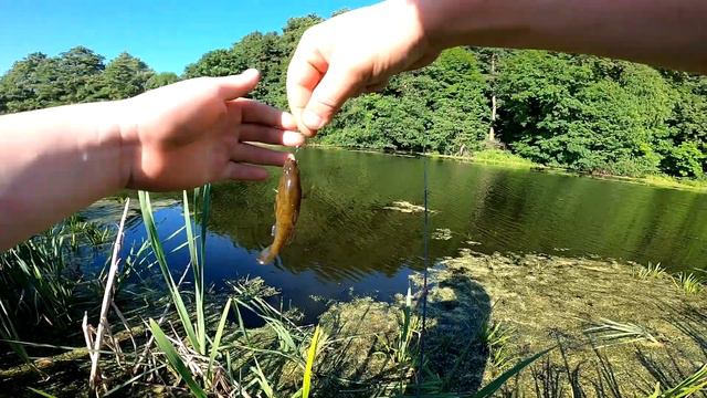 ловля ротана на ультралайт и наноджиг смотреть онлайн