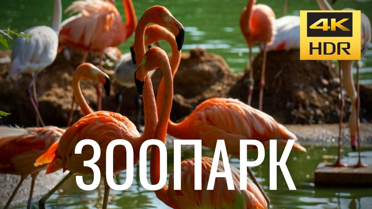 Московский зоопарк (июль 2021г.)