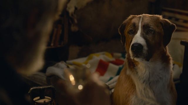 The Call of the Wild | Teaser Trailer смотреть онлайн