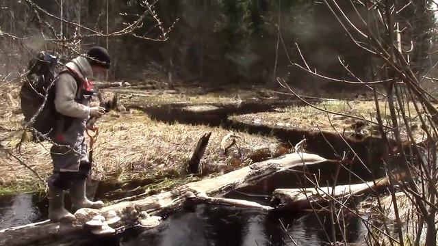 В лесах. 6 - 8мая 2017. смотреть онлайн