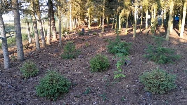 JBL Partybox 110 in the Forest | MAX VOLUME смотреть онлайн