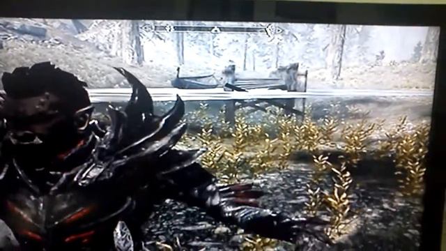 The great texture glitch of skyrim смотреть онлайн