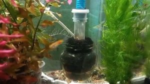 Бюджетный аэрлифтный фильтр для нано аквариумов с высоким КПД.