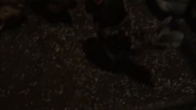 КАК ИЗБАВИТЬСЯ ОТ АММИАКА, ВЛАЖНОСТИ, ЦЕОЛИТ-ПРИРОДНЫЙ КАМЕНЬ, ОТЗЫВ смотреть онлайн