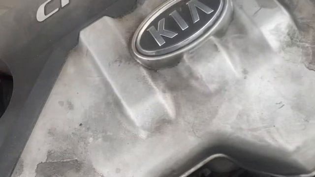 Разборка KIA - Rio 2005-2011, 1.5 CRDi (VIN: KNEDE244266033211) YB55PUJ смотреть онлайн