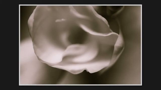 Still Life Photographs - Rebecca Perl - The Sweetest Things смотреть онлайн