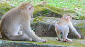 OMG! So Pitty Baby Leo... Why Libby Bea@ting Baby Leo.? | RB Love Baby Leo | lovely baby Leo