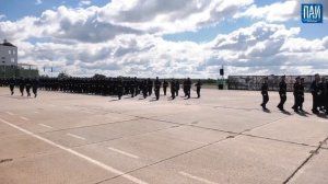 Празднование Дня ВДВ в Пскове