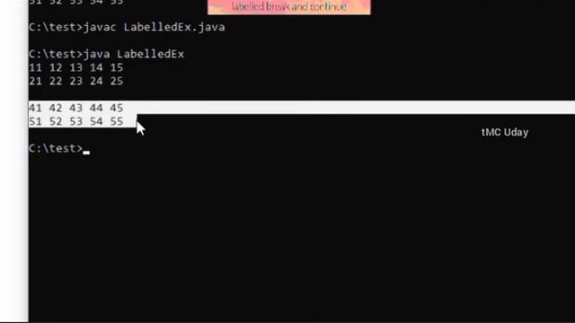 2.2.6. labelled break and continue with Java program explained in TELUGU смотреть онлайн