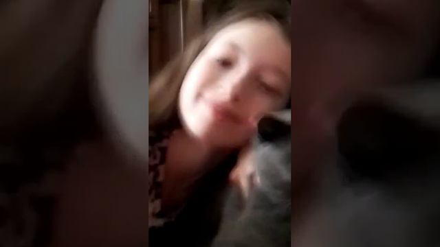 🐈⬛+♥️= ? смотреть онлайн