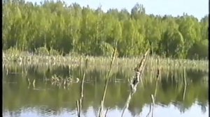 Прикольная  песня про рыбалку