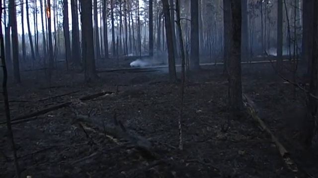 Последствия лесного пожара в Нижегородской области 2013 год смотреть онлайн