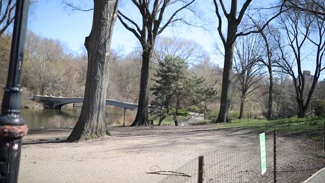 НЬЮ-ЙОРК 2020! ВЕСНА В ЦЕНТРАЛЬНОМ ПАРКЕ. смотреть онлайн