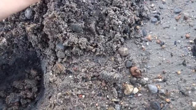 Vallon VMH3CS. Testing Out A Pulse Induction Detector In A Salt Water Beach In Skjeberg In Norway.