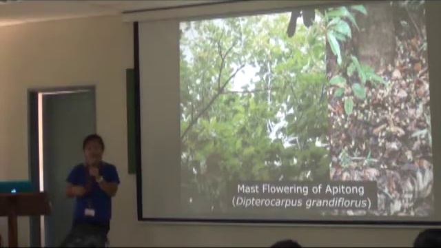 MNH Biodiversity Seminar: Serica Joy Compendio