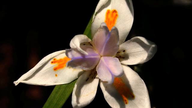 Слушать супер новую русскую музыку и видео онлайн смотреть онлайн