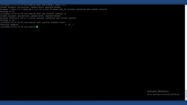 Install and Configure Jenkins on Amazon Linux EC2 Instance. смотреть онлайн