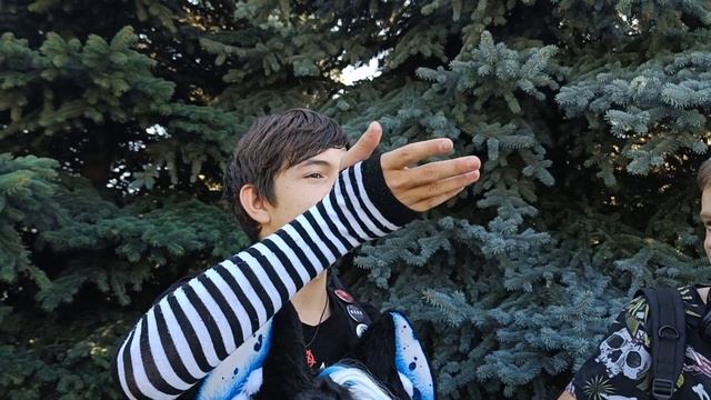Моя первая фурри сходка смотреть онлайн