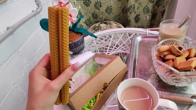 ТЕПЕРЬ ЖИВУ на БАЛКОНЕ ❗ПЕРЕСАДКА для ФИТОКАРТИНЫ , МАМА ПРИЕХАЛА на ПОМОЩЬ ❗#Фитокартина смотреть онлайн