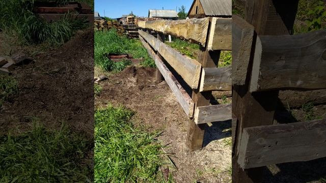 Бур, изгородь, чёрная смородина/Boer, hedge, blackcurrant смотреть онлайн