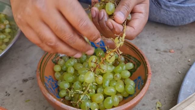Fruit Salad | Colourful Healthy Fruit Mixed Salad | Fruits Cutting In Village | Mubashir Saddique смотреть онлайн