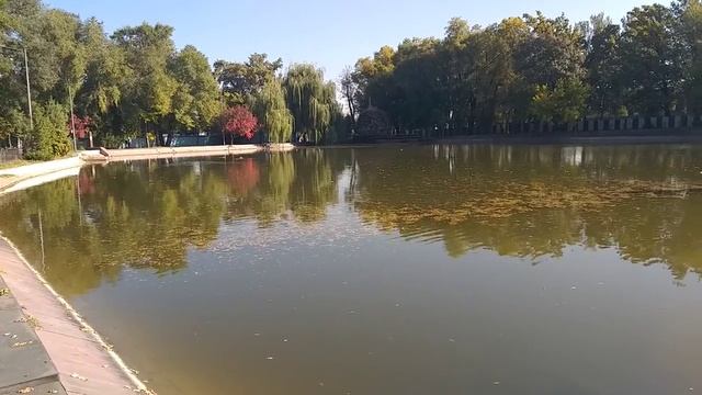 Завтрак на скамейке в парке Горького. Красивая природа. Озеро в парке. город АЛМАТЫ 7 октября 2020г смотреть онлайн