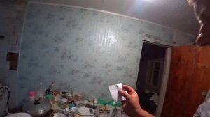 Я рискнул взял бройлеров на дачу!!!